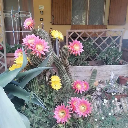 Apartment Casa Delle Rose Taverna Fiumicino-San Mauro